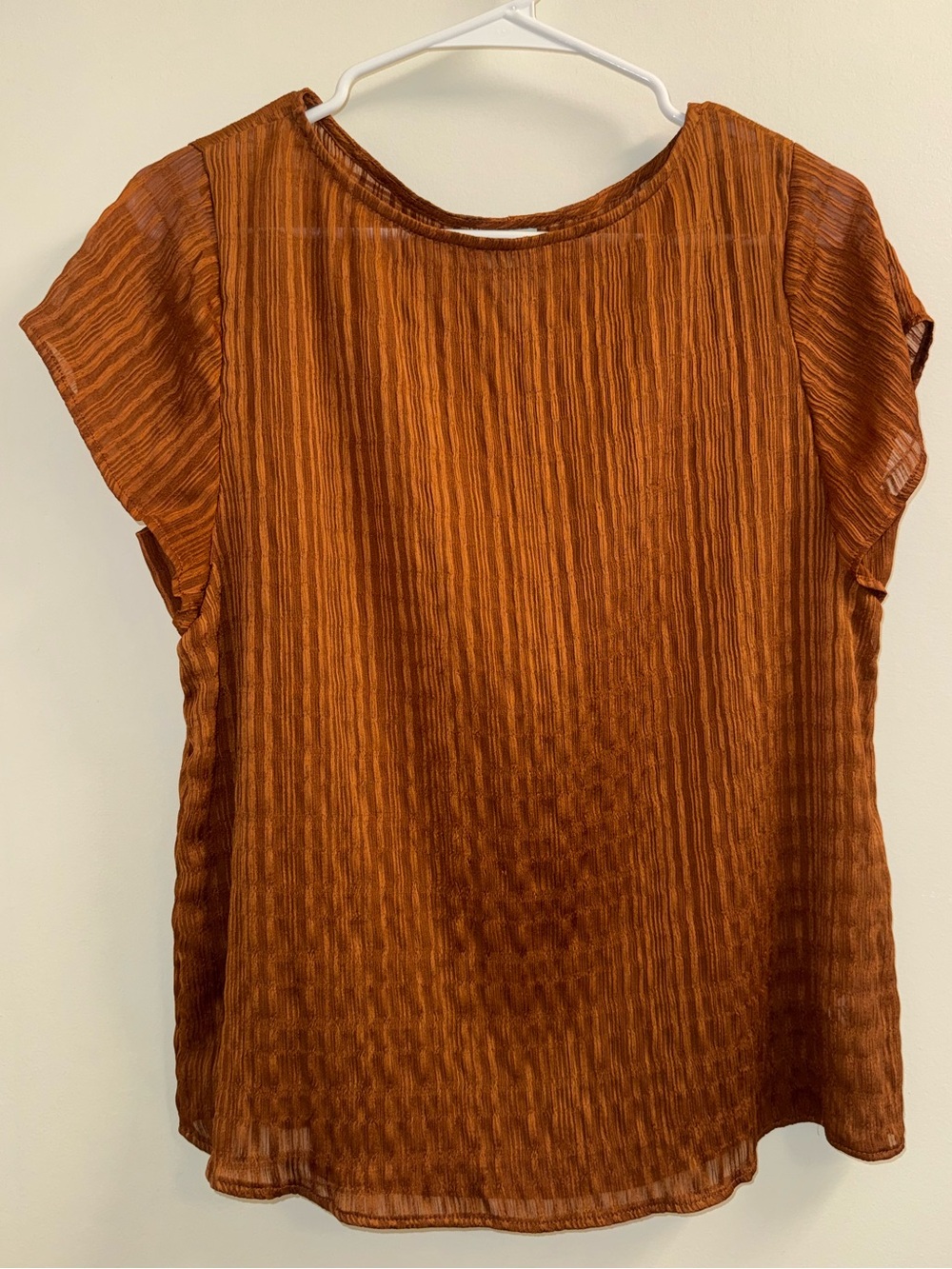 Worthington Burnt Orange Short-Sleeve Textured Blouse